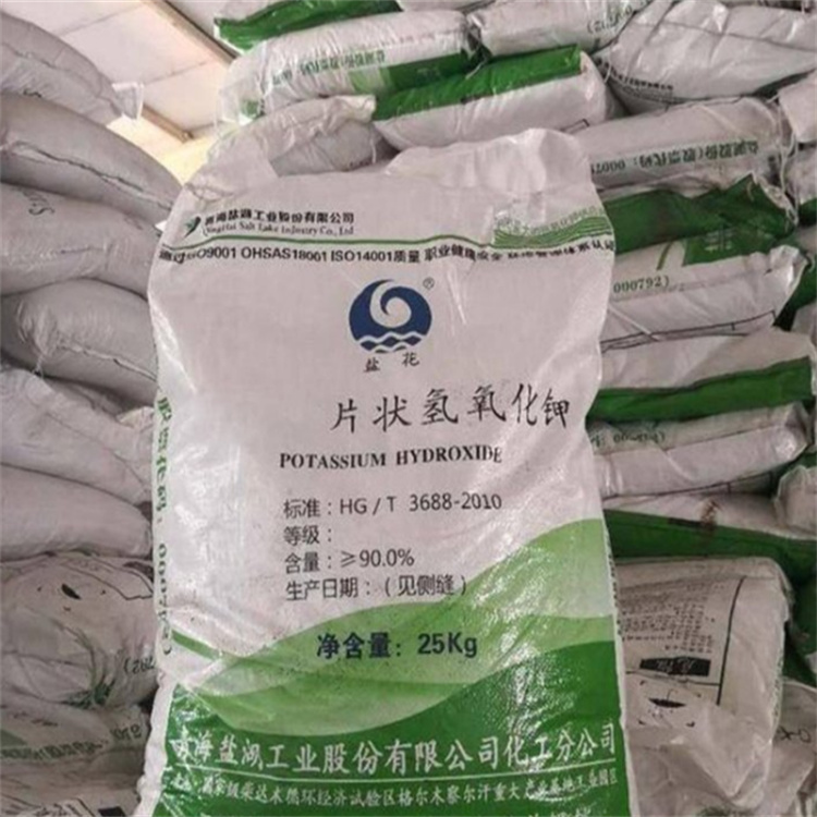鸡吧骚逼网站